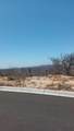 4 Monte Mckinley - Photo 3