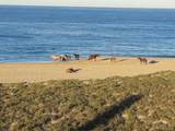 s/n Camino Las Playitas N/A - Photo 20