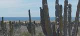 s/n Camino Las Playitas N/A - Photo 3