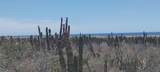 s/n Camino Las Playitas N/A - Photo 4
