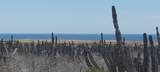 s/n Camino Las Playitas N/A - Photo 5