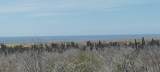 s/n Camino Las Playitas N/A - Photo 7