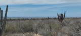 s/n Camino Las Playitas N/A - Photo 9