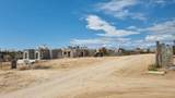  Molusco - Photo 2