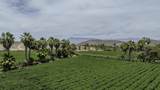  Lush Farmland - Photo 1