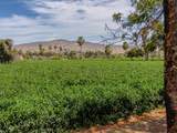  Lush Farmland - Photo 12