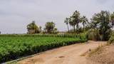  Lush Farmland - Photo 13