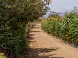  Lush Farmland - Photo 7
