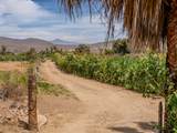  Lush Farmland - Photo 9