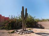  Calle Sin Nombre - Photo 25