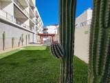  Penthouse San Miguel - Photo 21