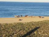  Vistas Playitas 1428 - Photo 11