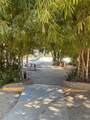  Todos Santos Sn - Photo 17