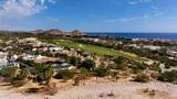  Cabo Del Sol - Photo 60