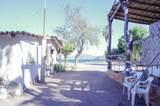  Juncalito - Photo 13