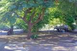  Juncalito - Photo 15