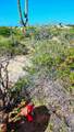 0373 Lot - Photo 10