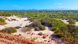 0373 Lot - Photo 7