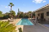 529 Torote - Photo 20