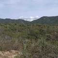  20 Hectareas - Photo 10