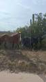  20 Hectareas - Photo 12