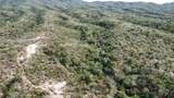  20 Hectareas - Photo 3