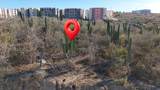 10 Sierrra San Pedro Martir - Photo 6