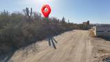 10 Sierrra San Pedro Martir - Photo 8