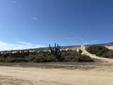  Camino De La Langosta - Photo 10