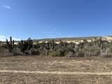  Camino De La Langosta - Photo 11