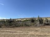  Camino De La Langosta - Photo 12