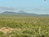  Lot 40 Matancitas - Photo 3