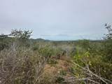  Lot 40 Matancitas - Photo 4