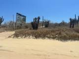  Sauspedes (Main Access Road) - Photo 1