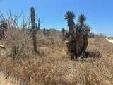  Sauspedes (Main Access Road) - Photo 10