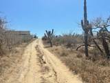  Sauspedes (Main Access Road) - Photo 11