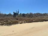  Sauspedes (Main Access Road) - Photo 12