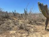  Sauspedes (Main Access Road) - Photo 4