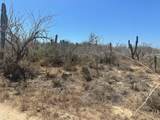  Sauspedes (Main Access Road) - Photo 5
