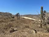  Sauspedes (Main Access Road) - Photo 8