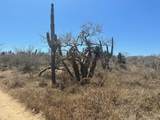  Sauspedes (Main Access Road) - Photo 9
