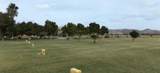  Sin Name - Photo 7