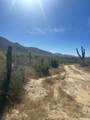  Calle Sin Nombre - Photo 9