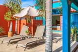 4 Braulio - Photo 67