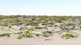  El Mogote - Photo 8