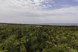  Playitas Investment 3.64 Has - Photo 5