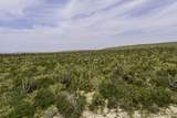  Playitas Investment 3.64 Has - Photo 6