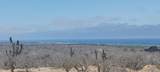  Playitas Investment 12.91 Has - Photo 11