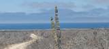  Playitas Investment 12.91 Has - Photo 12