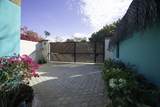 9 Mutualismo - Photo 34